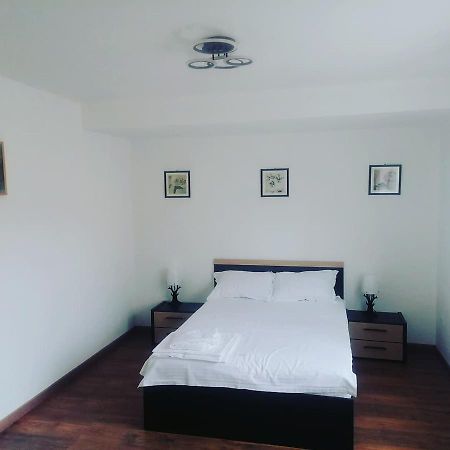 Apartamento La Bunici Baia Mare Exterior foto