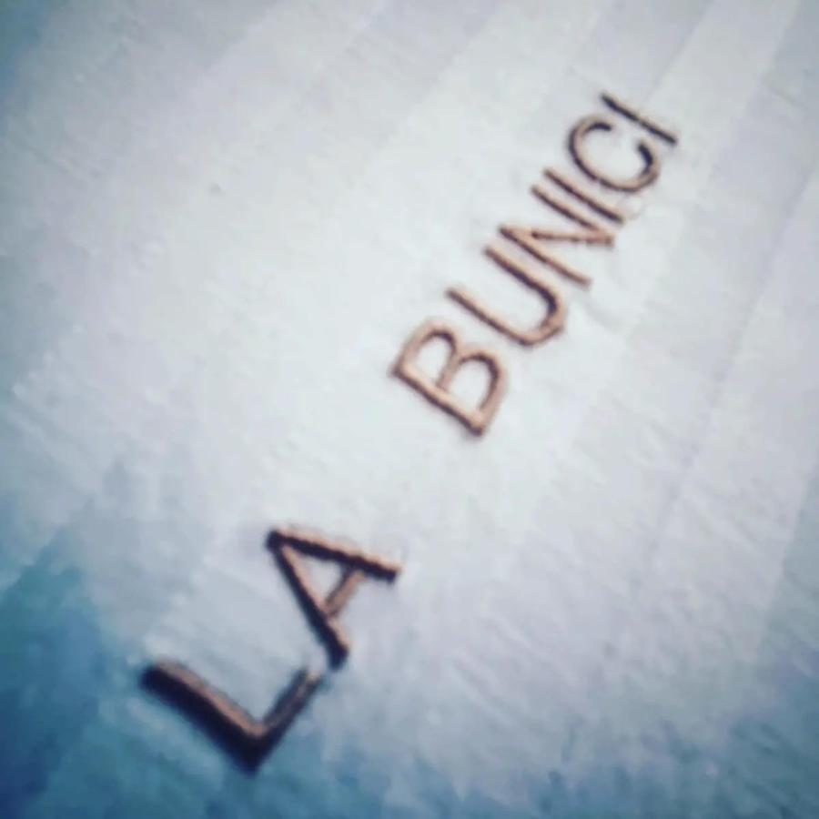 Apartamento La Bunici Baia Mare Exterior foto